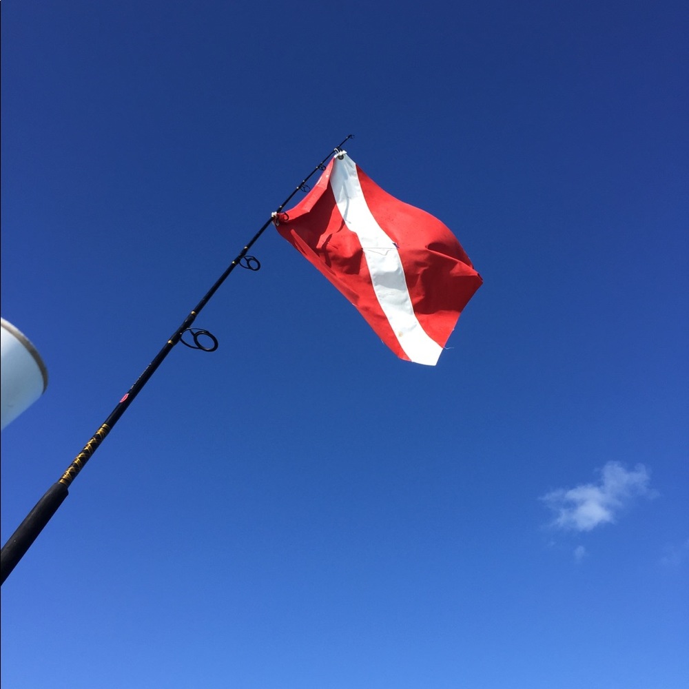 Meet your Posher, Chad